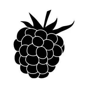 Black Raspberry Silhouette Icon