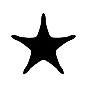 Black Star Silhouette Icon