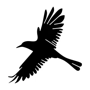 Black Bird Silhouette Flying