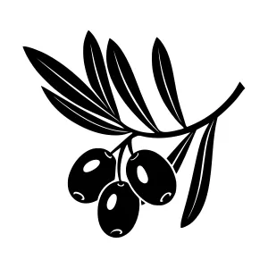 Black Olive Branch Silhouette