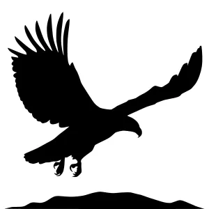 Silhouette Eagle in Flight - Black on White