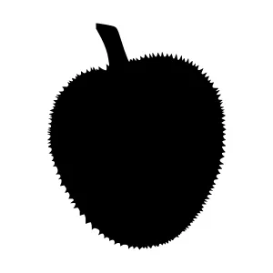 Durian Silhouette Vector Illustration