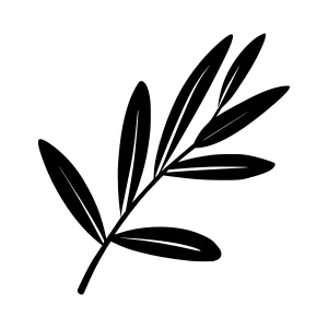 Black Olive Branch Line Art Illustration