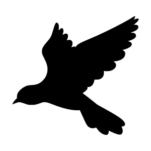 Silhouette Bird Flying - Black Outline Vector