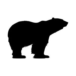 Black Bear Silhouette Vector Illustration