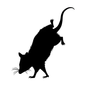 Silhouette Mouse Vector Graphic