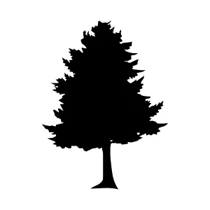 Black Tree Silhouette on White Background
