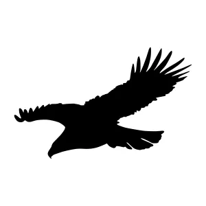 Black Eagle Silhouette Flying