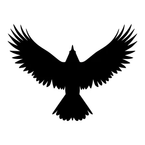 Black Eagle Silhouette - Minimalist Design