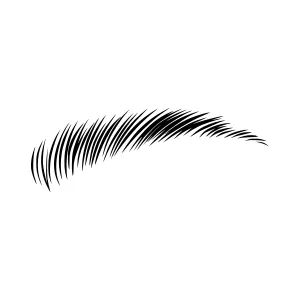 Black Feather Vector Illustration