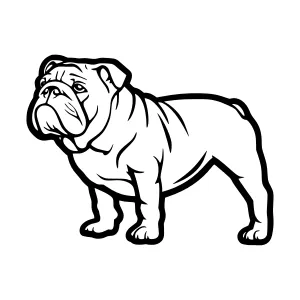 Black & White Bulldog Illustration
