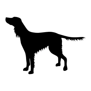 Black Dog Silhouette Vector