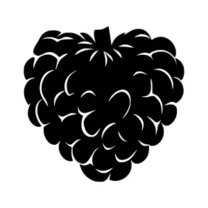 Black Berry Silhouette Vector Icon