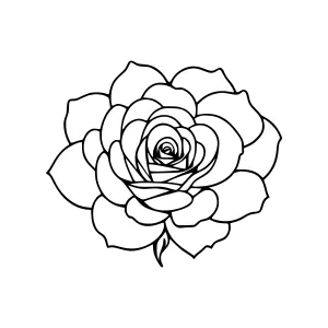Black Rose Outline Floral Illustration