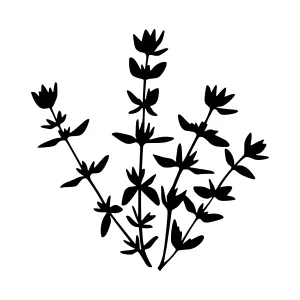 Black Silhouette Lavender Flowers