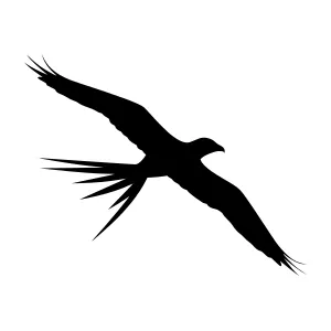 Black Eagle Silhouette - Flying Bird Vector