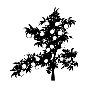 Silhouette Fruit Tree with Oranges