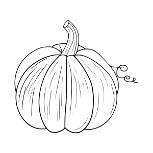 Line Art Pumpkin Illustration - Halloween Design