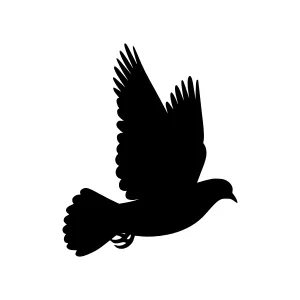 Black Dove Silhouette Vector Icon