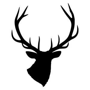 Silhouette Deer Head Antler Graphic
