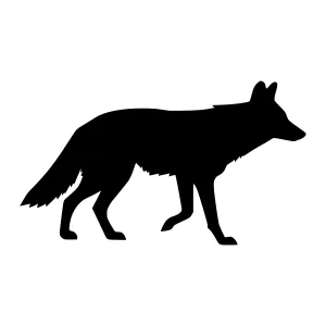 Black Silhouette Wolf Graphic