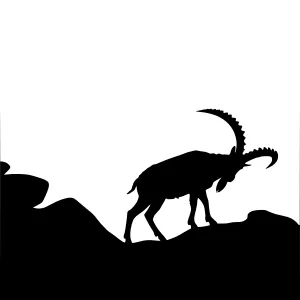 Silhouette Ibex Mountain Landscape
