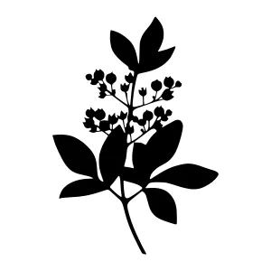 Black Silhouette Herb Branch - Minimalist Design