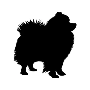 Silhouette Pomeranian Dog - Minimalist Vector