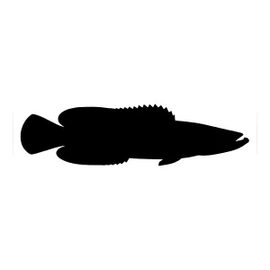 Black Fish Silhouette Vector Illustration