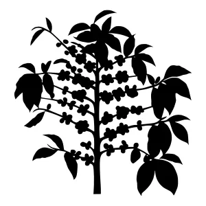 Black Silhouette Tree with Berries