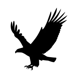 Silhouette Eagle in Flight - Graphic Vector