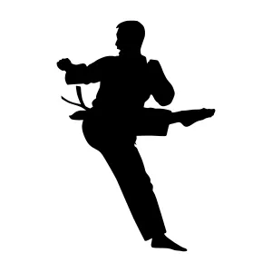 Silhouette Martial Arts Fighter