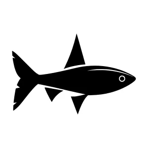 Black Shark Silhouette Icon