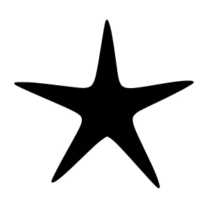 Black Star Icon - Simple Vector Graphic