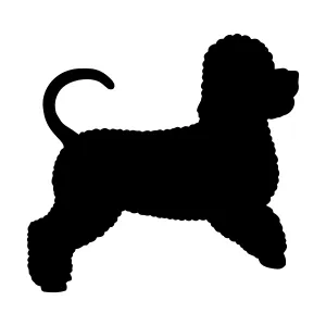 Poodle Silhouette Vector Illustration