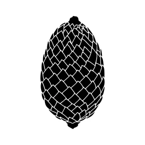 Geometric Pinecone Silhouette