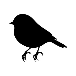 Silhouette Bird Vector Illustration