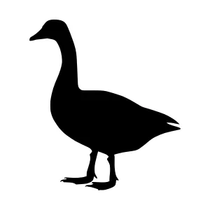 Black Goose Silhouette Vector Illustration