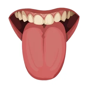 Cartoon Tongue Illustration - Dental Health