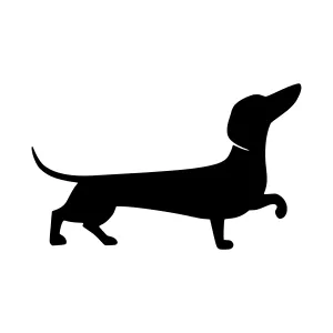 Dachshund Silhouette Vector Icon