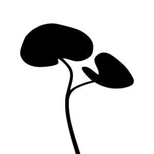 Minimalist Plant Silhouette Vector Illustration