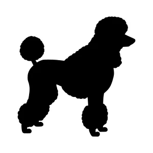 Poodle Silhouette Vector Graphic