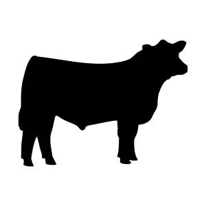 Black Cattle Silhouette - Farm Animal Vector