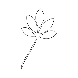 Minimalist Line Art Flower Illustration