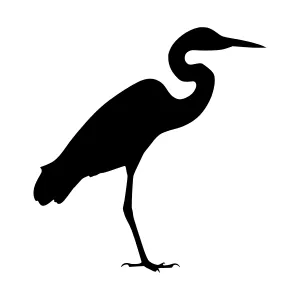 Black Heron Silhouette Vector Illustration