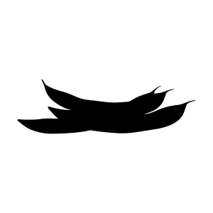 Black Feather Silhouette Vector Graphic