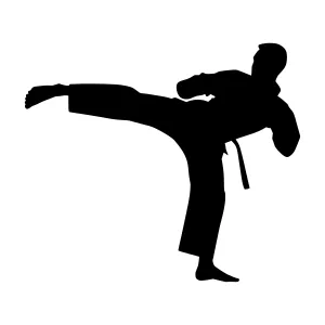 Karate Silhouette - Black on White