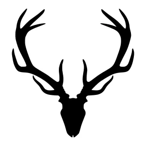 Black Deer Head Silhouette Vector Graphic