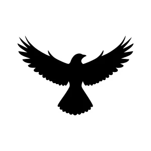 Black Eagle Silhouette Vector Icon