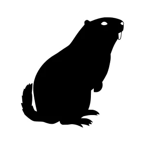Black Silhouette Beaver Illustration